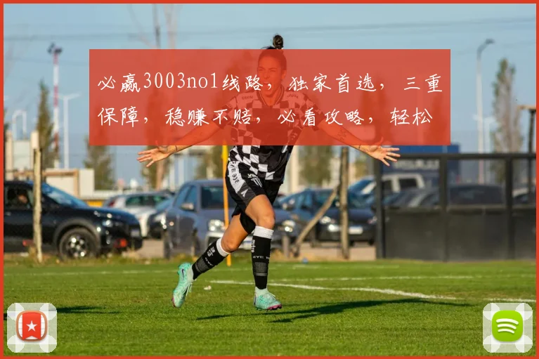 必赢3003no1线路，独家首选，三重保障，稳赚不赔，必看攻略，轻松获利